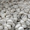  White Pebble stone 